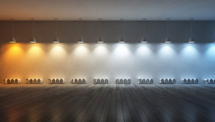 What Color Temperature for LED You Should Use?